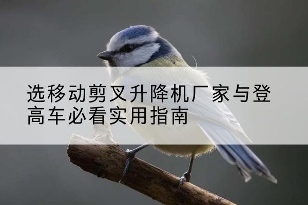 玉屏电动升降机厂家-选移动剪叉升降机厂家与登高车必看实用指南