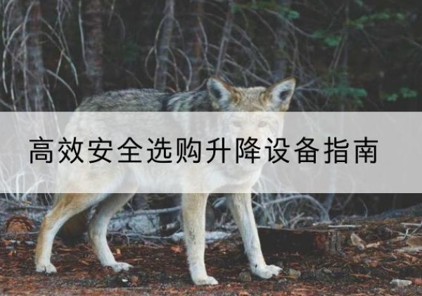玉屏升降货梯厂家推荐-*安全选购升降设备指南