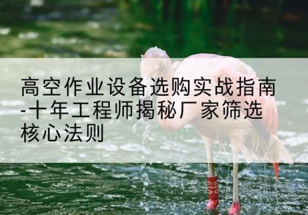 玉屏剪叉式升降机厂家-高空作业设备选购实战指南-十年工程师揭秘厂家筛选核心法则